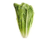 Romaine Hearts 6 CT