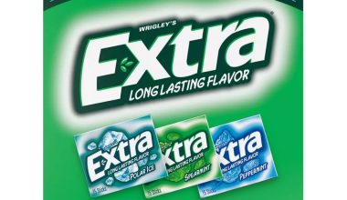 Extra Mint Sugar-Free Chewing Gum Bulk Variety Pack