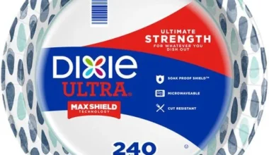 Dixie Ultra 8.5" Plates 240 CT