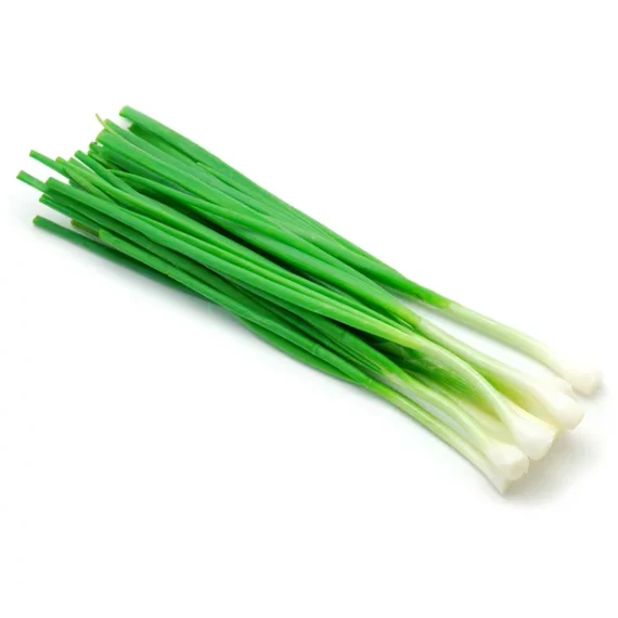 Green Onion / Scallions Bunch