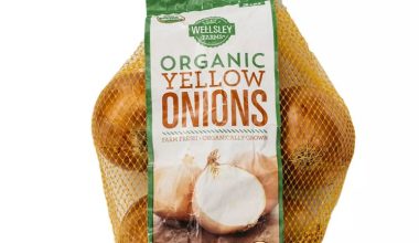 Wellsley Farms Organic Yellow Onions, 3 lbs.