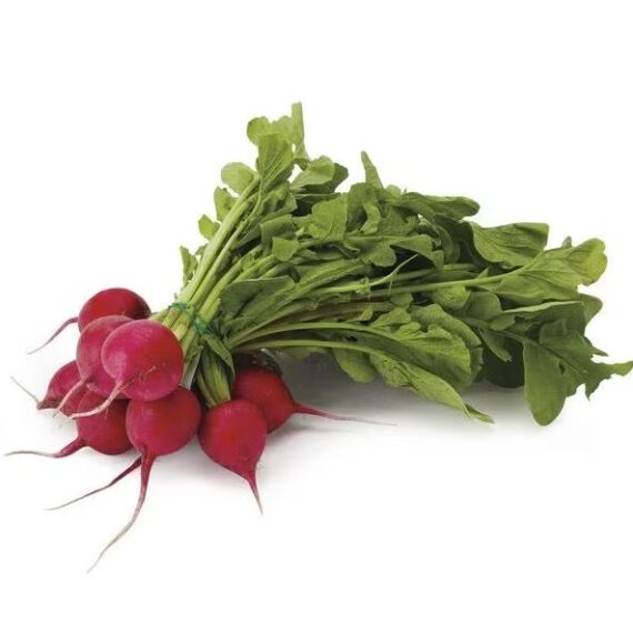 Bunched Radishes with Tops