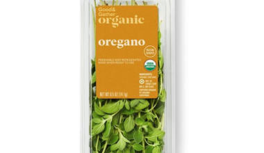 Organic Oregano - 0.5oz - Good & Gather