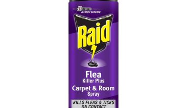 Raid Flea Killer Plus Carpet & Room Spray - 16oz