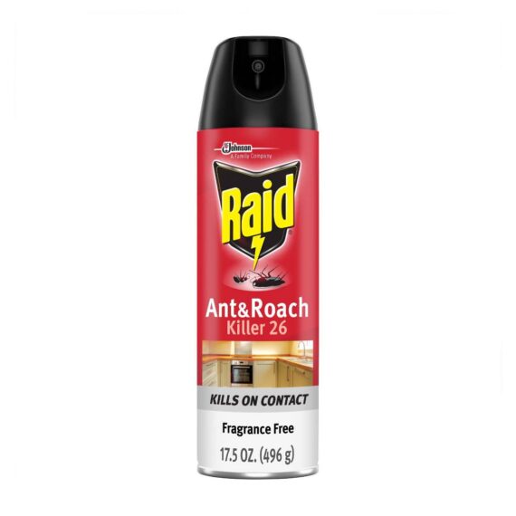Raid Ant & Roach Killer 17.5 oz