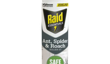 Raid Essentials Ant, Spider & Roach Killer Aerosol - 10oz