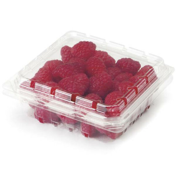 Organic Raspberries 6 oz